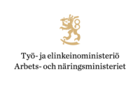 TEM